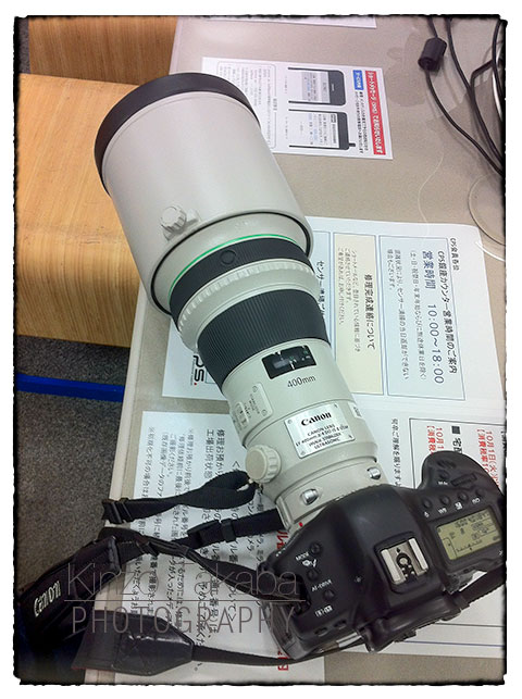 Canon EF 400mm f/4 DO IS II USM – 50 yards film